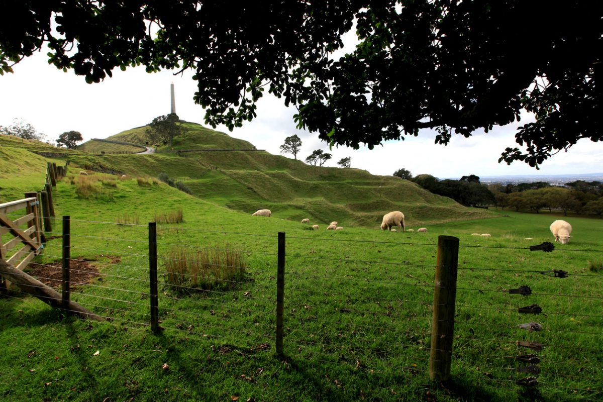 view of One Tree Hill field new zealand Hospitality Business